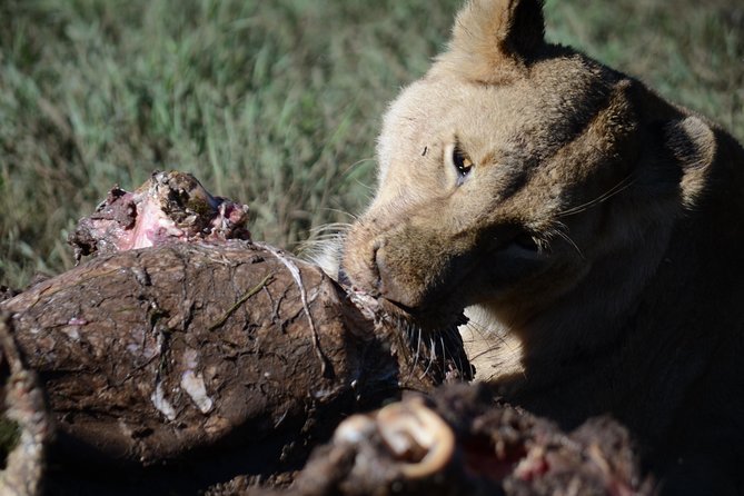 5 Days Tarangire ,Serengeti.Ngorongoro and Lake manyara - How this 5-day camping circuit feels in real life