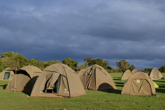 5 Days Tarangire ,Serengeti.Ngorongoro and Lake manyara - Day 1: Tarangire National Park, elephants and the baobabs