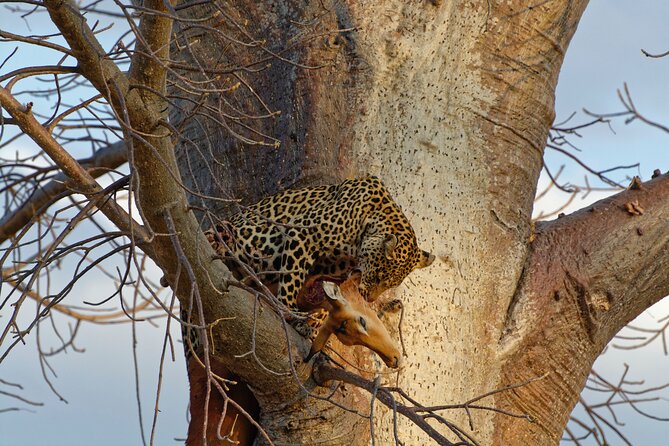 5-days Tarangire-Serengeti-Ngorongoro Safari - Day 5 in Mto-wa-mbu and your return to Arusha