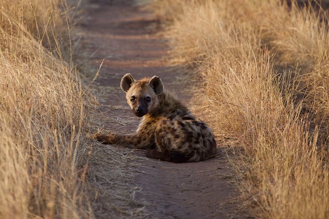 5-days Tarangire-Serengeti-Ngorongoro Safari - What to pack and how to prepare for real wildlife days