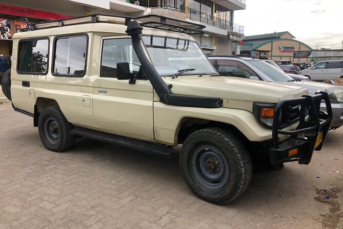 5 Days Under Serengeti Skies Tour - Days 2 and 3: Serengeti National Park in the Seronera area