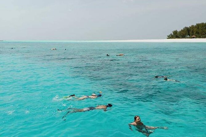 5-Hour Snorkeling, Swimming with Dolphins and Sea Turtles Aquarium - The 5-Hour Timeline: Snorkeling, Sandbank Break, Turtle Lagoon