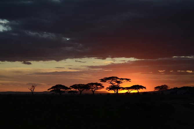 5days Tanzania Safari lodge and camping Serengeti, Tarangire & Ngorongoro Crater - Key Highlights You’ll Feel Quickly