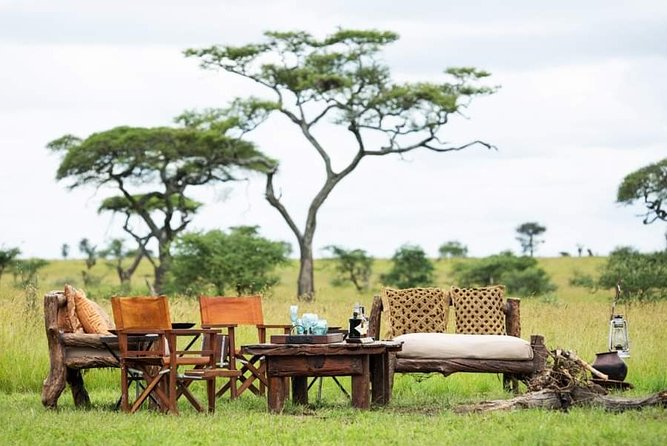 5days Tarangire,Serengeti,ngorongoro Crater and Lake Manyara National park - Day 4 Ngorongoro Crater descent: 650 meters and a half-day game drive