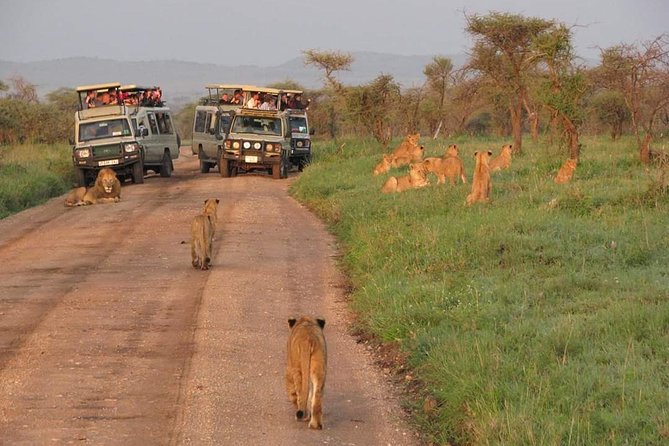 5days Tarangire,Serengeti,ngorongoro Crater and Lake Manyara National park - Camps and meals: tented comfort with fewer decisions
