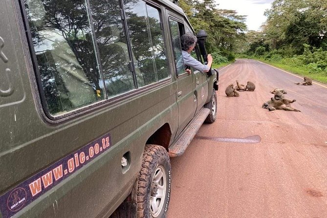 5days Tarangire,Serengeti,ngorongoro Crater and Lake Manyara National park - Day 1 from Arusha to Tarangire: enter early, spot elephants fast