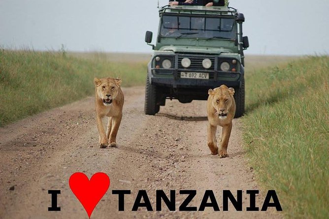 6- Day Adventure Lodge safari to see Migration - Days 2 and 3 in Serengeti: two shots at the big wildlife stage