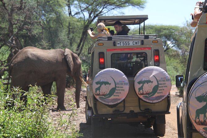 6-Day Big Five Magic Safari Tour - Serengeti National Park: endless plains, two full Big Five days, and migration timing