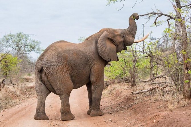 6-Day Budget Lodge Safari in Tanzania - Half-day Serengeti, then Ngorongoro: switching gears without losing momentum