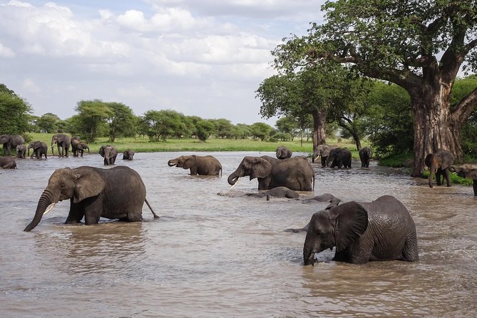 6-Day Budget Lodge Safari in Tanzania - Price and value: what $3,720.31 is buying you, and what to watch