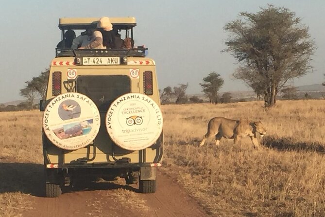 6 Day Group Camping Safari Tarangire Serengeti Ngorongoro Manyara - Days 2 and 3: Serengeti game drives built for predators and the Great Migration
