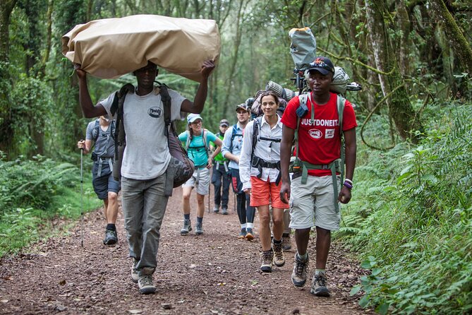 6-Day Guided Tour in Machame Route Mt Kilimanjaro - Day 1 to Machame Camp: rain forest trekking and the mud lesson