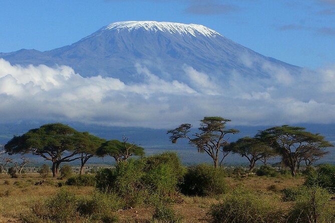 6-Day Kilimanjaro Climbing Via Machame Route - Key things I’d zero in on before you book