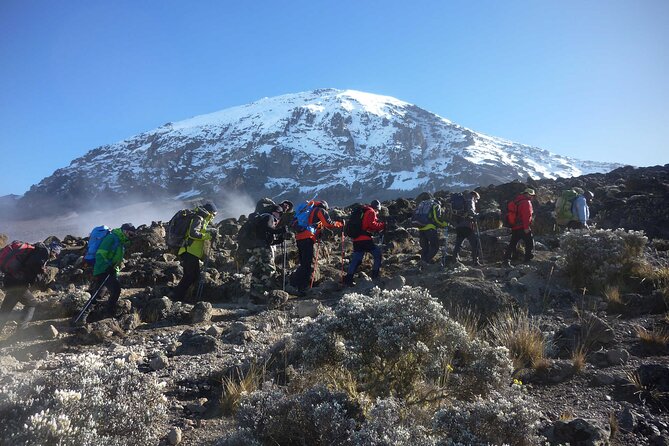 6 Day Kilimanjaro Climbing Via Marangu Route - Where You Meet the Team and How the Timing Works