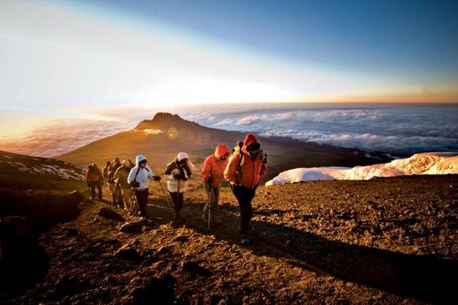6-Day Kilimanjaro Machame Route – A Stunning Trek to Uhuru Peak - The big picture itinerary, what the pacing really feels like