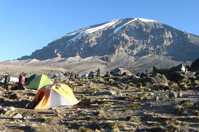 6-Day Kilimanjaro Umbwe Route–Steep,Adventurous, Challenging Path - Price and Logistics in Moshi: What $2,310 Actually Buys