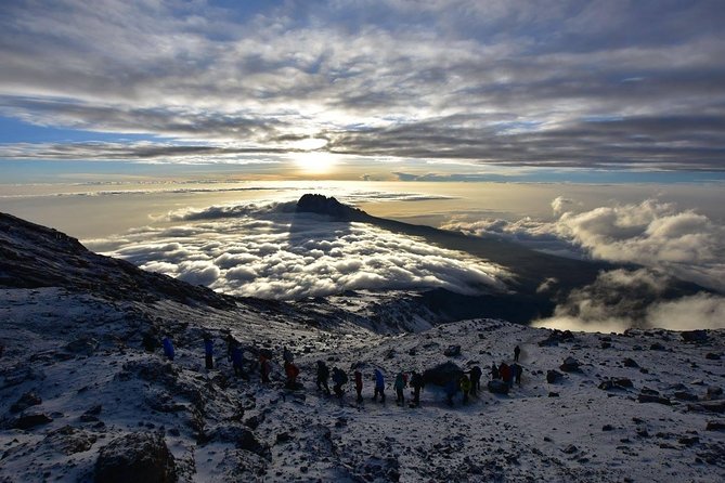 6-Day Kilimanjaro Umbwe Route–Steep,Adventurous, Challenging Path - Day 2: Moorland Plants, Big Views, and Barranco Valley