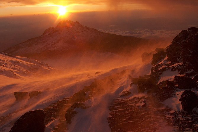 6-Day Kilimanjaro Umbwe Route–Steep,Adventurous, Challenging Path - Day 6: Mweka Trail Descent, Dancing Celebration, and Certificate Day