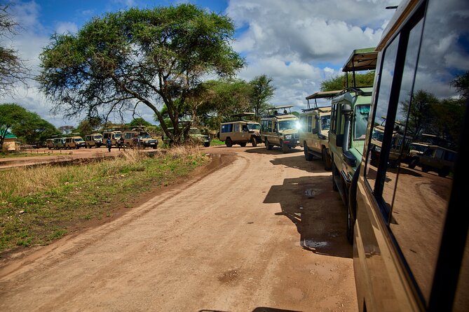 6-Day Luxury Tanzania Premium Safari - Serengeti National Park: a full day built for predator spotting and migration wonder