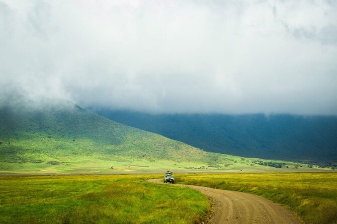 6-Day Luxury Tanzania Premium Safari - Tarangire National Park: elephants and a river-shaped ecosystem