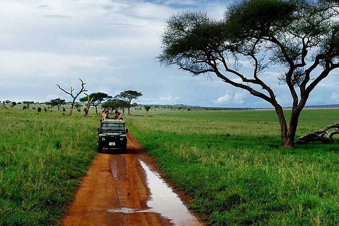 6 Day: Magnificent Wildlife Adventure - Day 4: Ngorongoro Sunrise, Brunch Reset, and Switching Back to Serengeti