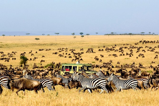6 Day: Magnificent Wildlife Adventure - Arusha Pickup, Open-Roof Jeep Setup, and Day-to-Day Timing