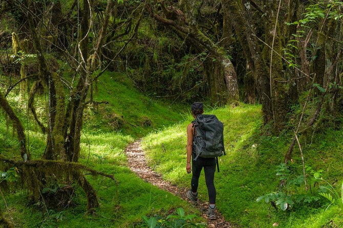 6-Day Mount Meru Climb through Momella Route Guided Tour - Moshi arrival day: Aishi Machame is a practical reset