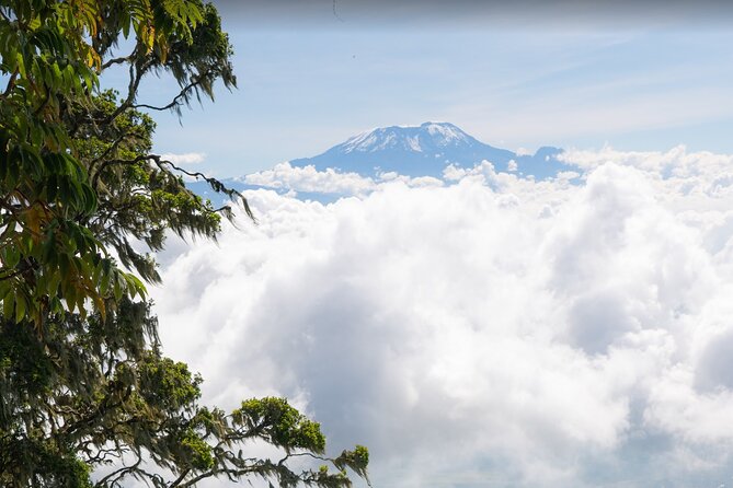 6-Day Mount Meru Climb through Momella Route Guided Tour - Day 4 the midnight summit: Rhino Point, Cobra Point, and Socialist Peak