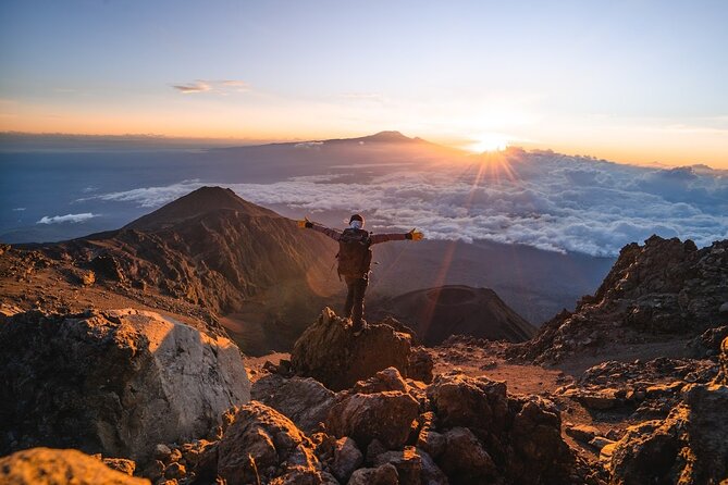 6-Day Mount Meru Climb through Momella Route Guided Tour - Day 2 into Arusha National Park: Momella Gate plus wildlife on foot
