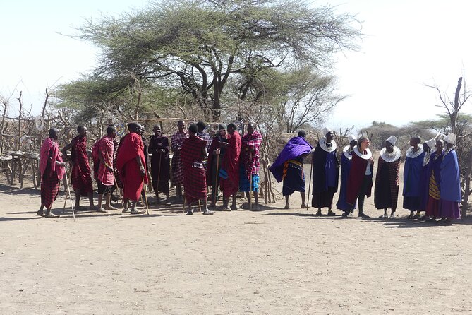 6-Day Northern Safari - Tarangire National Park: elephants, baobabs, and the big-herd theater