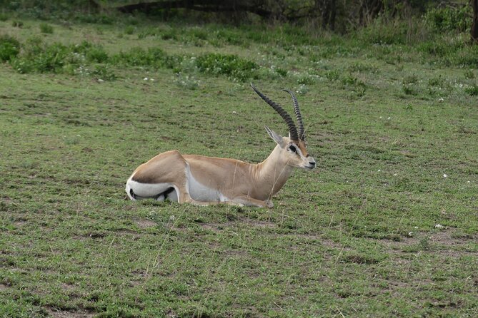 6-Day Northern Safari - Price and value: what you are really paying for at $2,600 per person
