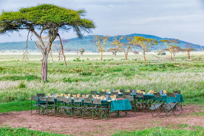 6 Day Private Camping Safari - Your Safari Starts in Arusha, Not on a Random Schedule