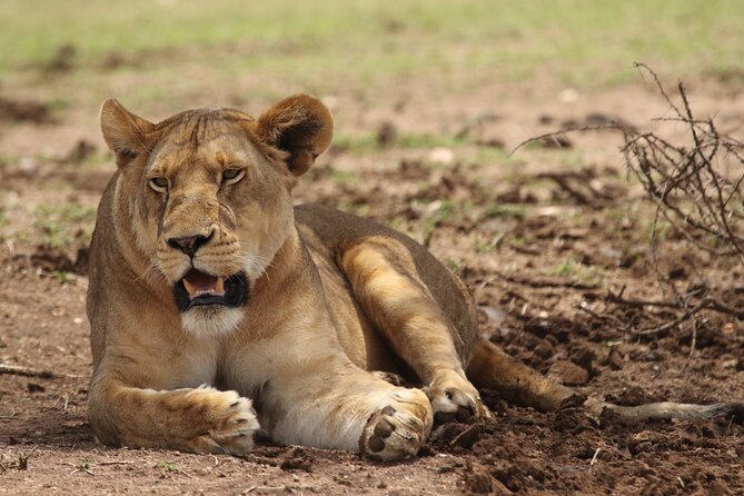 6-day Private Camping Safari Tour from Kilimanjaro Airport - Key points before you go