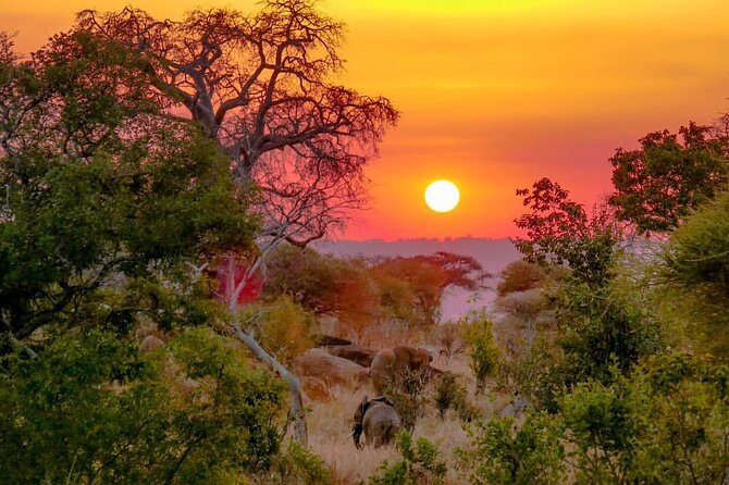 6-Day Private midrange Tour in Arusha with Airport Pickup - Day 5: sunrise Serengeti, then the move toward Ngorongoro