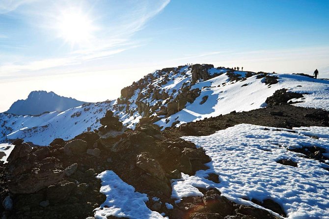 6-Day Rongai Route Trek in Mount Kilimanjaro - The lush last walk out to Marangu Park Gate and your transfer back to Moshi or Arusha