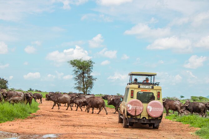 6 Day Serengeti wildebeest migration Camping Safari - Why this Serengeti migration safari feels like a real safari plan