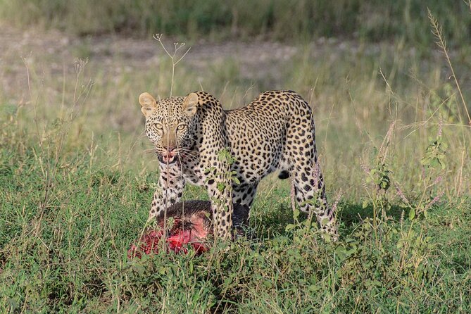 6-Day Tanzania Adventures Safaris - Group Joining Camping Safaris - Group joining safari, small group feel, and your own vehicle