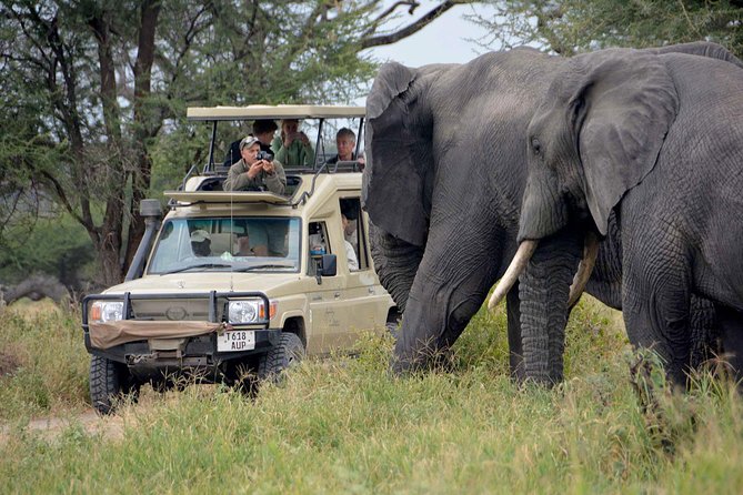 6-Day Tanzania Camping Safari: Lake Manyara, Serengeti, Ngorongoro Cater and Tarangire National Park from Arusha - Entering the route: 4x4 camping safari designed for long game-drive days