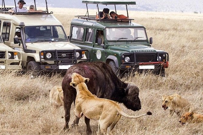 6-Day Tanzania Camping Safari: Lake Manyara, Serengeti, Ngorongoro Cater and Tarangire National Park from Arusha - Day 2 in Serengeti National Park: a second start plus an afternoon game drive