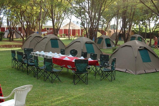 6-Day Tanzania Camping Safari: Lake Manyara, Serengeti, Ngorongoro Cater and Tarangire National Park from Arusha - Day 3 Serengeti: early, mid-day, and afternoon game drives