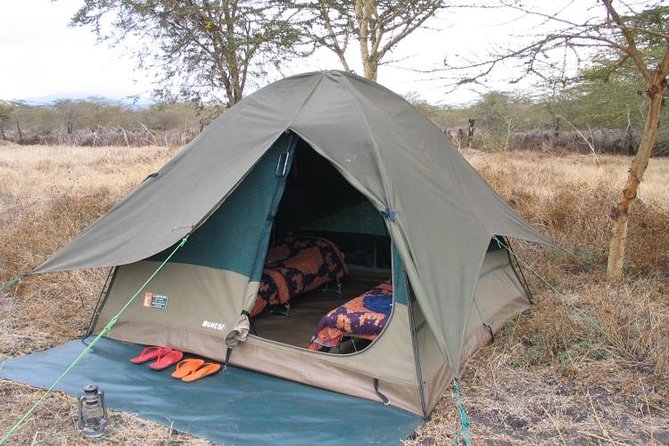 6-Day Tanzania Camping Safari: Lake Manyara, Serengeti, Ngorongoro Cater and Tarangire National Park from Arusha - Day 5 Lake Manyara National Park: crater-floor driving and hippo pool lunch