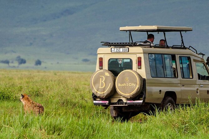 6-Day Tanzania Safari Experience – Midrange - Day 1 in Arusha: Airport Arrival and Villa Maua Setup