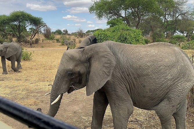 6 -Day Tarangire, Manyara, Serengeti & Ngorongoro - A 6-day Tanzania circuit built for wildlife variety