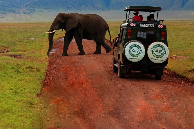 6 Days 5 Night Safari - Day 6 Tarangire River Birding and Dry-Season Game Concentrations
