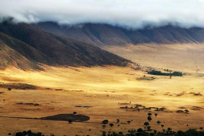 6 Days 5 Nights lodge safari Tarangire, Manyara, Serengeti & Ngorongoro Crater - Day 2 at Lake Manyara: lush forest edges and the hippo-lake moment