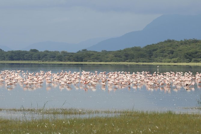 6 days 5 nights safari Ngorongoro, Serengeti and Tarangire National Parks - Day 3 Serengeti transfer day: Ngorongoro Conservation Area and Naabi Hills gate