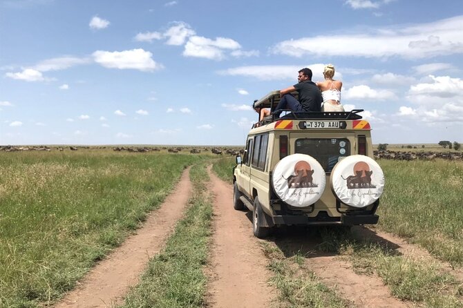 6 days 5 nights safari Ngorongoro, Serengeti and Tarangire National Parks - Day 4 Another sunrise day in the Serengeti, then a steady midday break