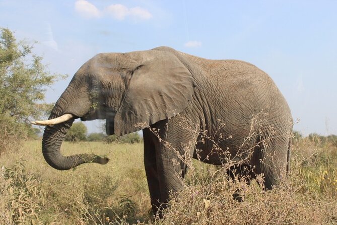 6 Days Adventure Towards Serengeti, Ngorongoro and Tarangire - Lodges in Karatu and what “overlooking the crater” buys you