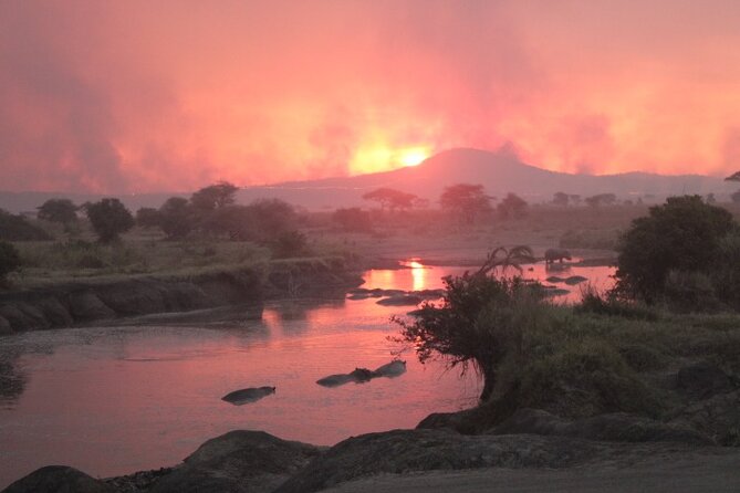 6 Days Adventure Towards Serengeti, Ngorongoro and Tarangire - Tarangire National Park: elephants, baobabs, and birdwatching that surprises you