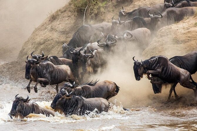 6 Days best adventure kilimanjaro ,Tarangire ,Serengeti &Ngorongoro crater - Day 4: crater floor game drive with picnic lunch
